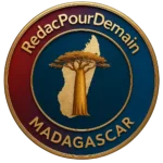 rédaction seo web